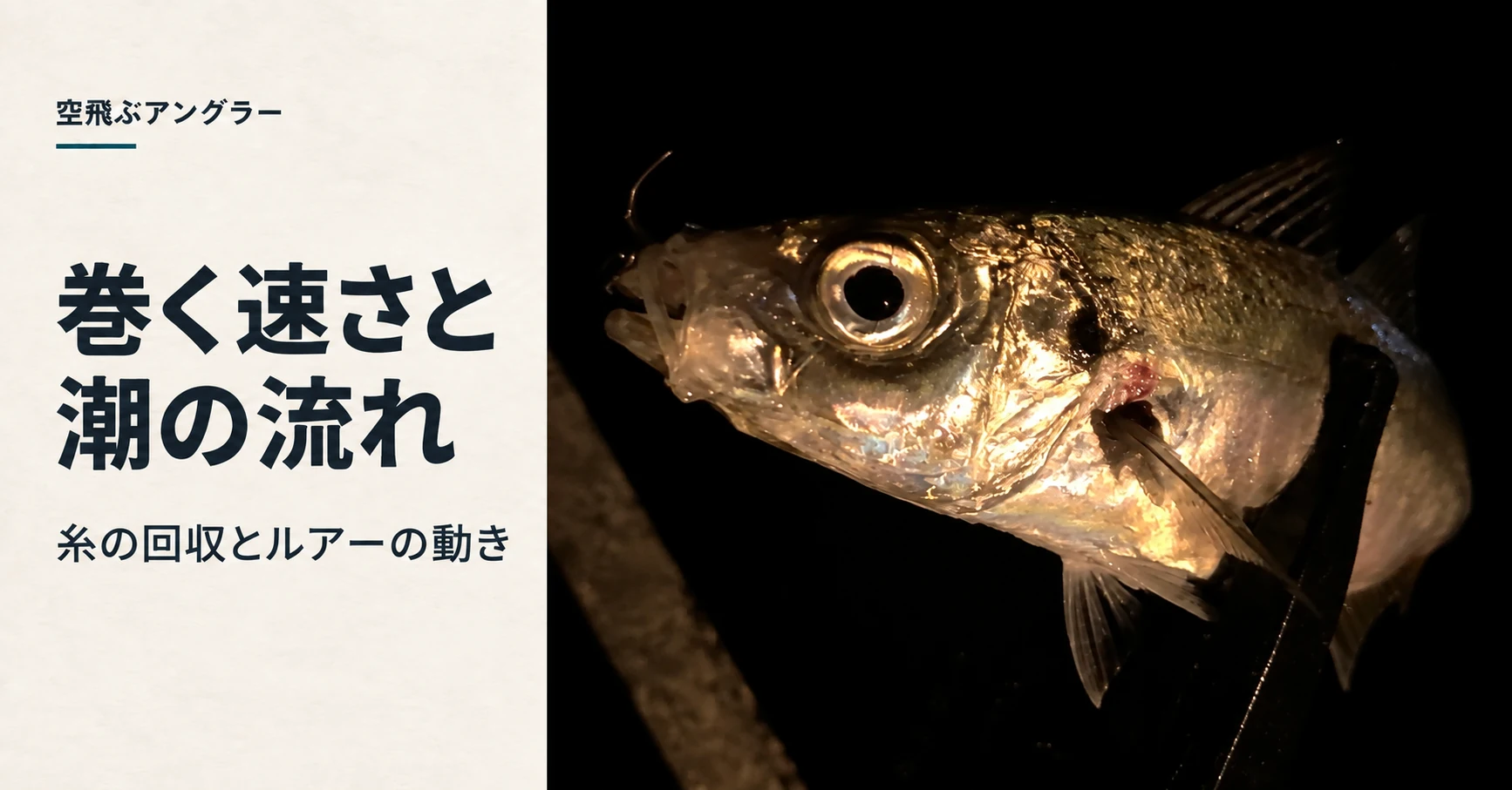 アジングの巻く速さと潮の流れのアイキャッチ。釣りの写真に記事のテーマを添えた画像。